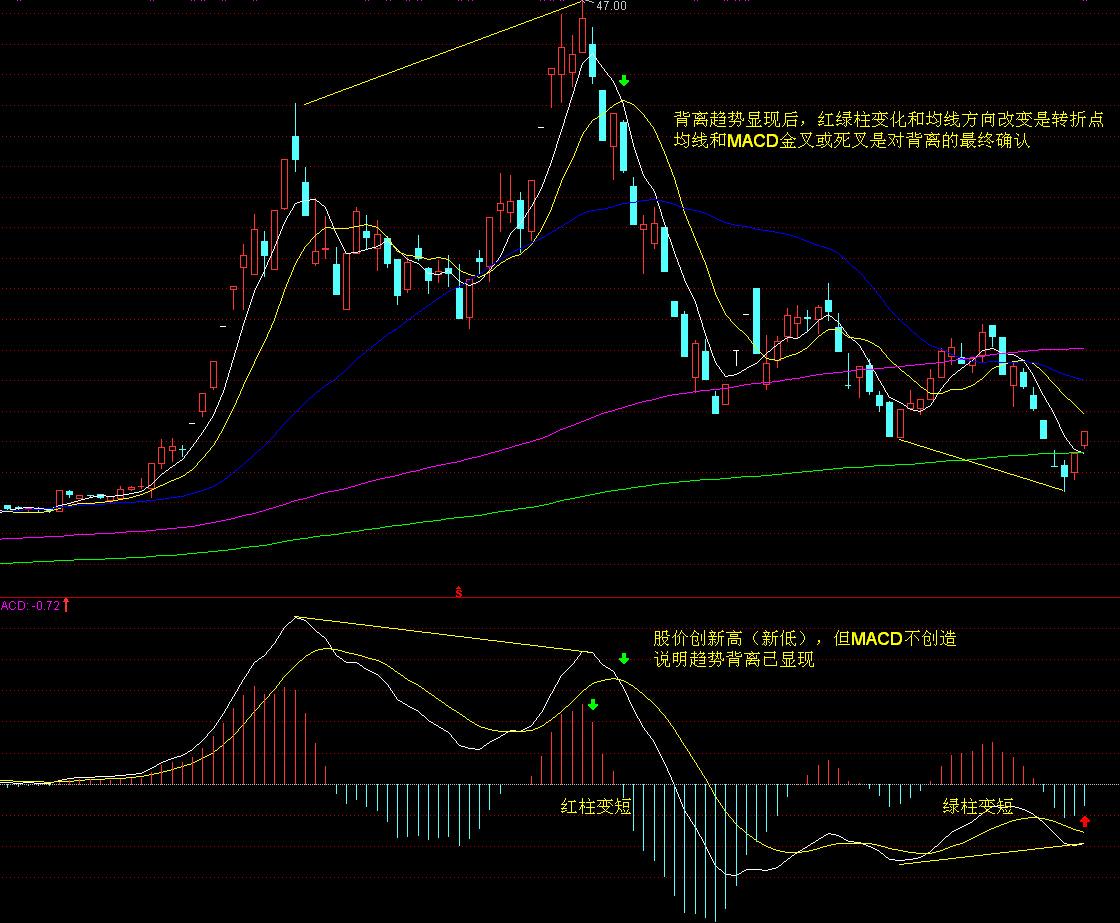20元观赛!香港残奥项目票价惠民,计划十月发售