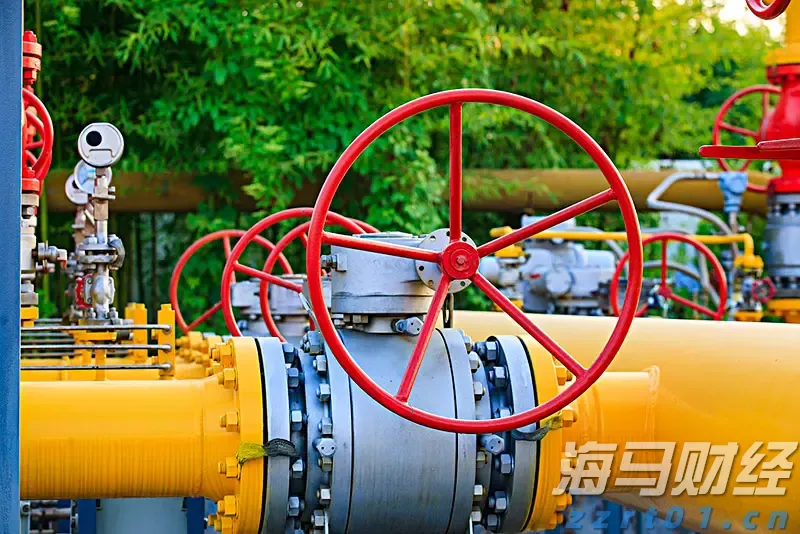 世界首例!广东医生将基因编辑猪肺移植到人体