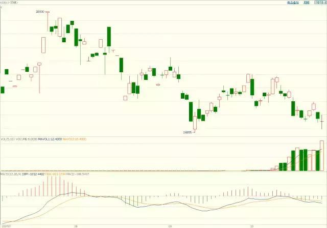 “草木藏古韵 染蛋绘端午”端午主题活动举行